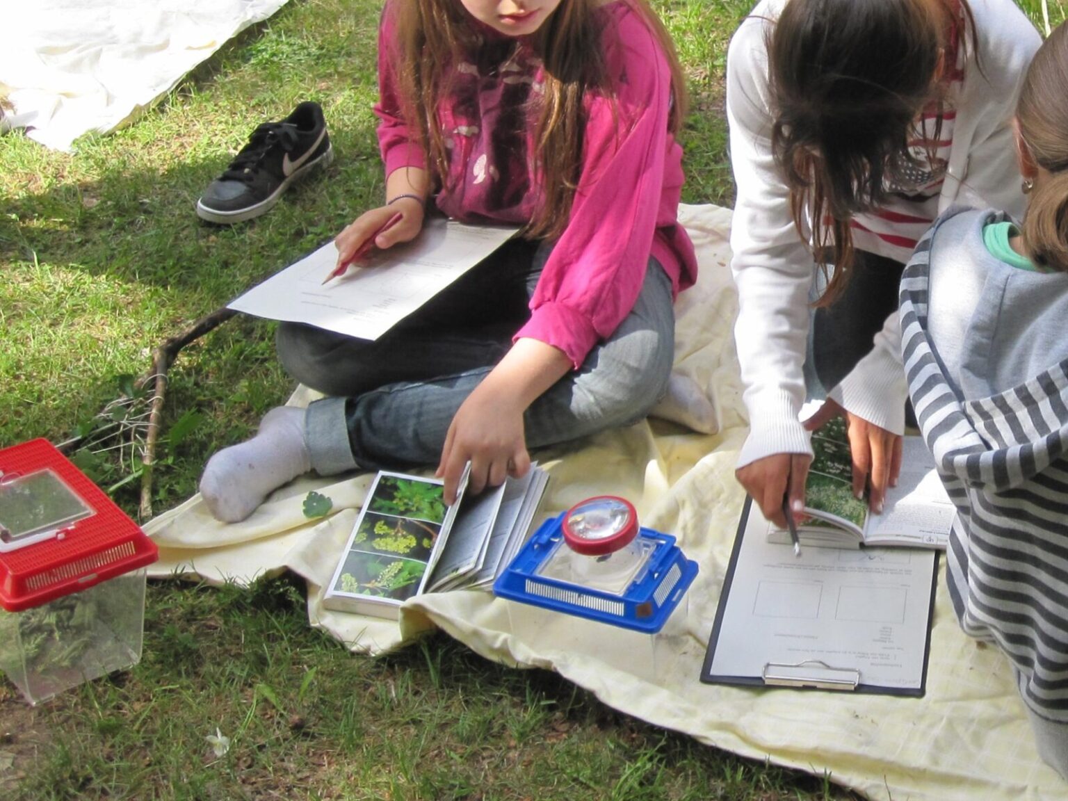 Kinder sitzen mit Bestimmungsbüchern und Becherlupen in der Wiese