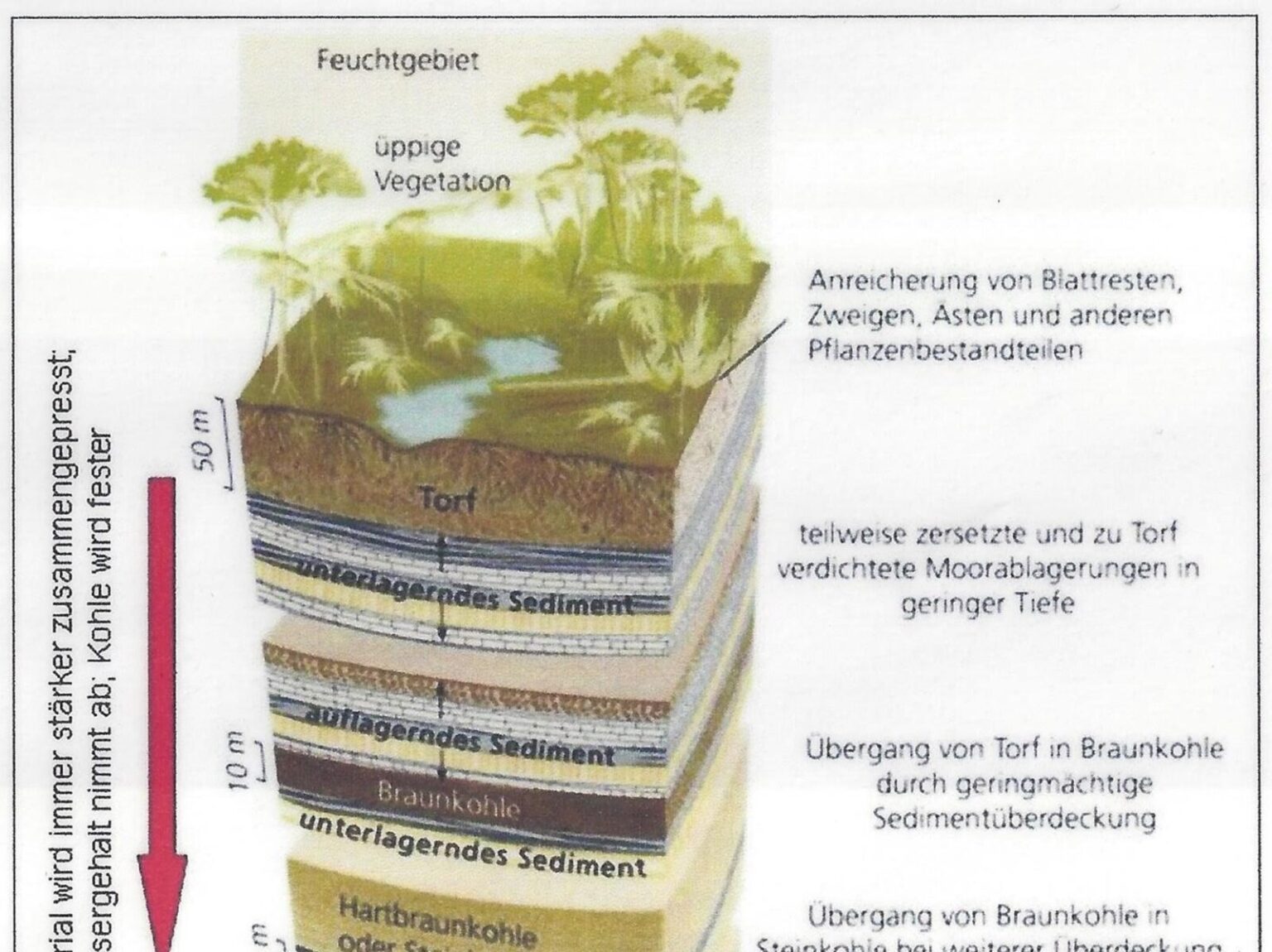 Schichtaufbau der Pedosphäre