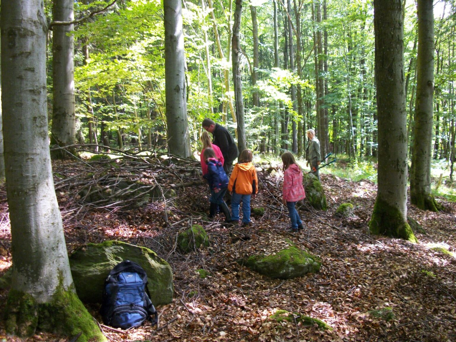 Kinder spielen im Wald