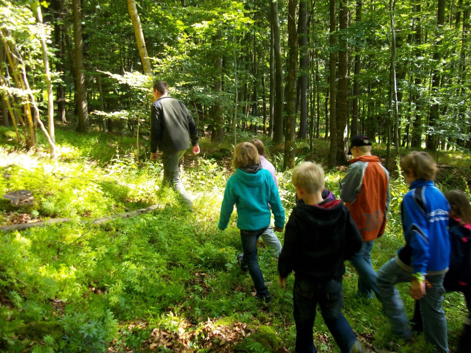 Kinder laufen in den Wald