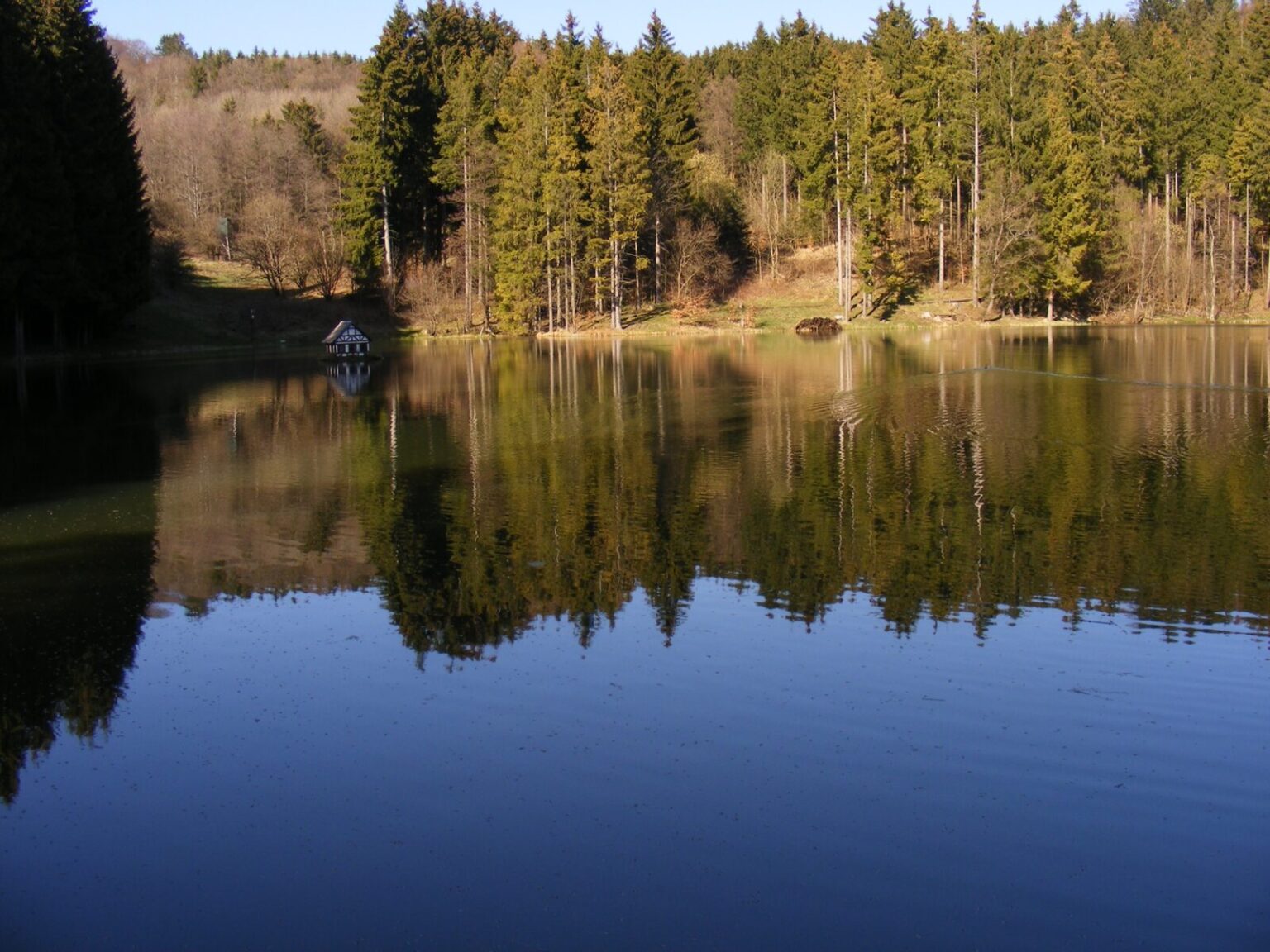 Rothsee im Sonnenschein, Bäume spiegeln sich