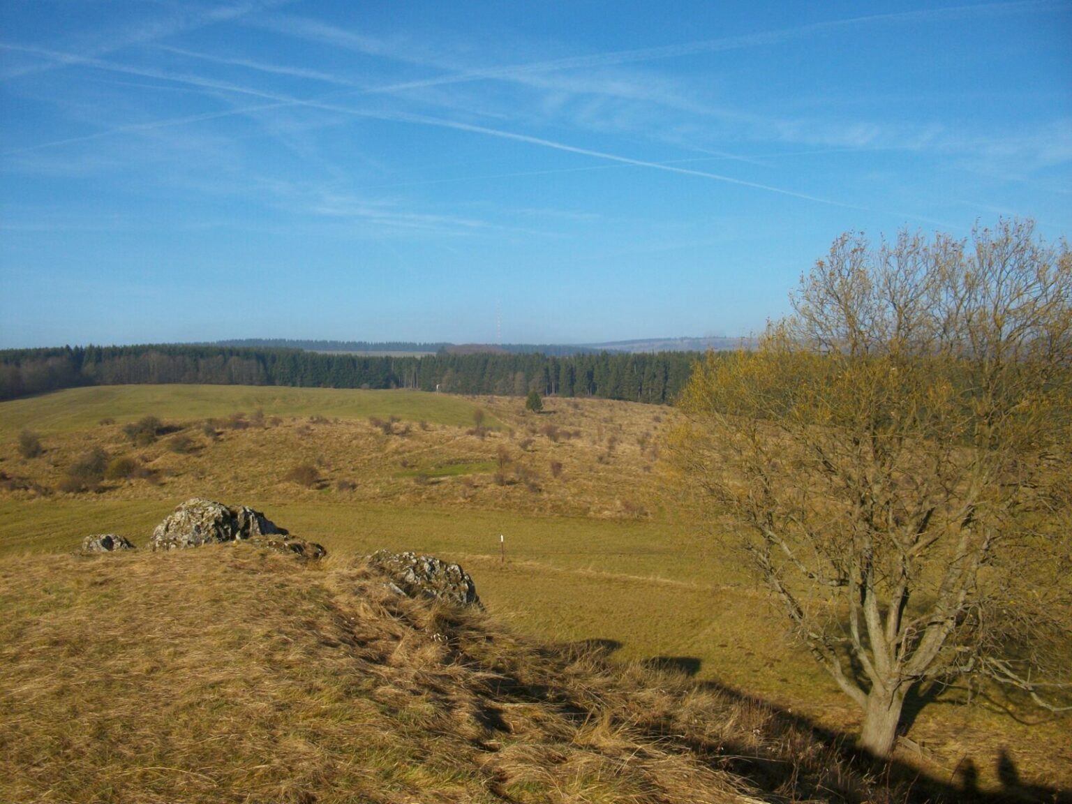 Blick von der kalten Buche Richtung Hochrhön und Wasserkuppe