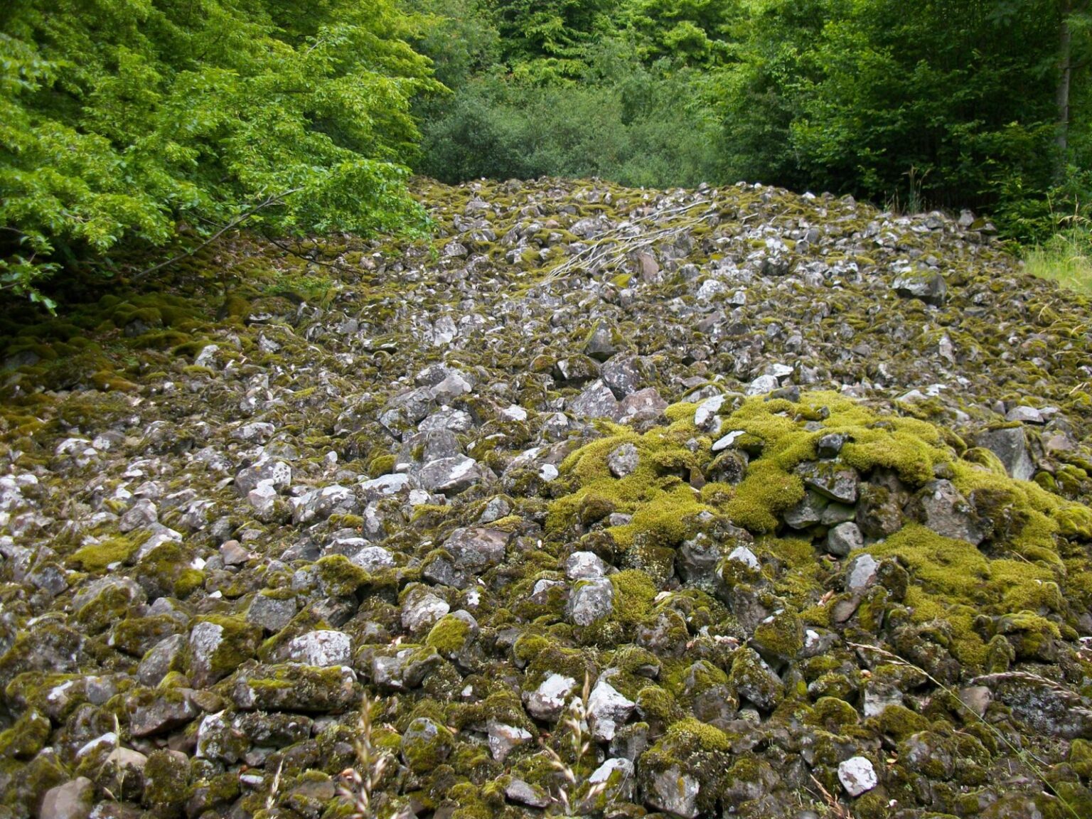 Blockmeer (Steinfeld im Wald) am Bauersberg