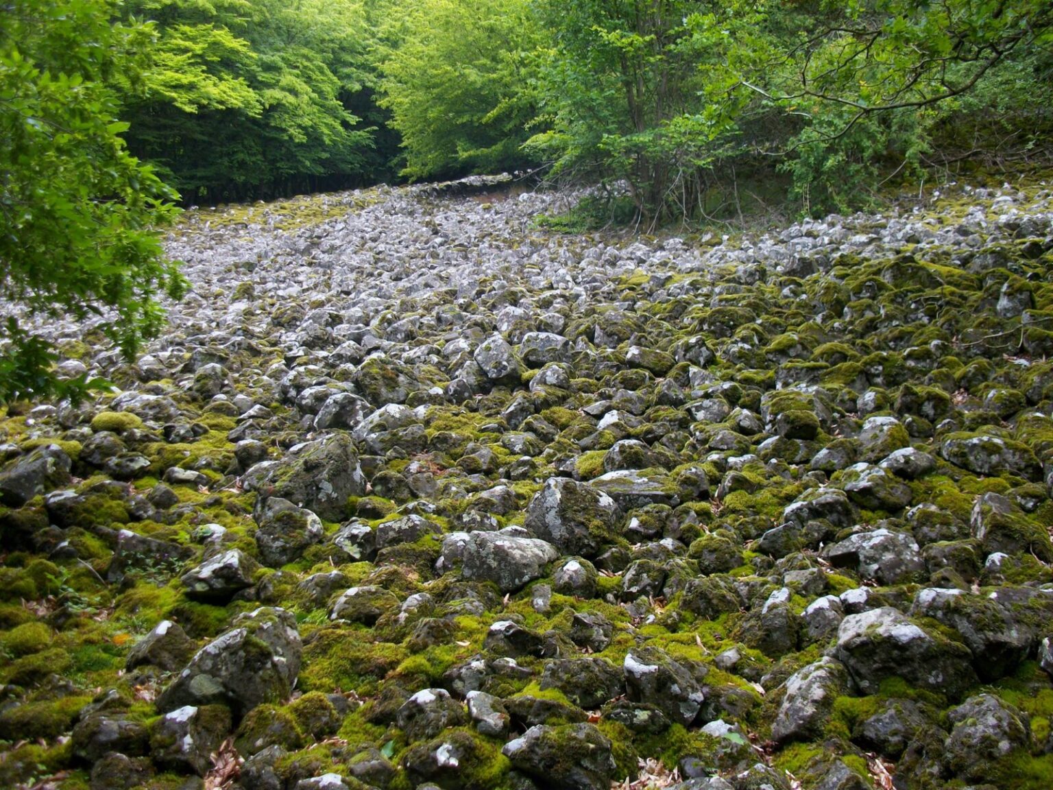 Blockmeer (Steinfeld im Wald) am Bauersberg